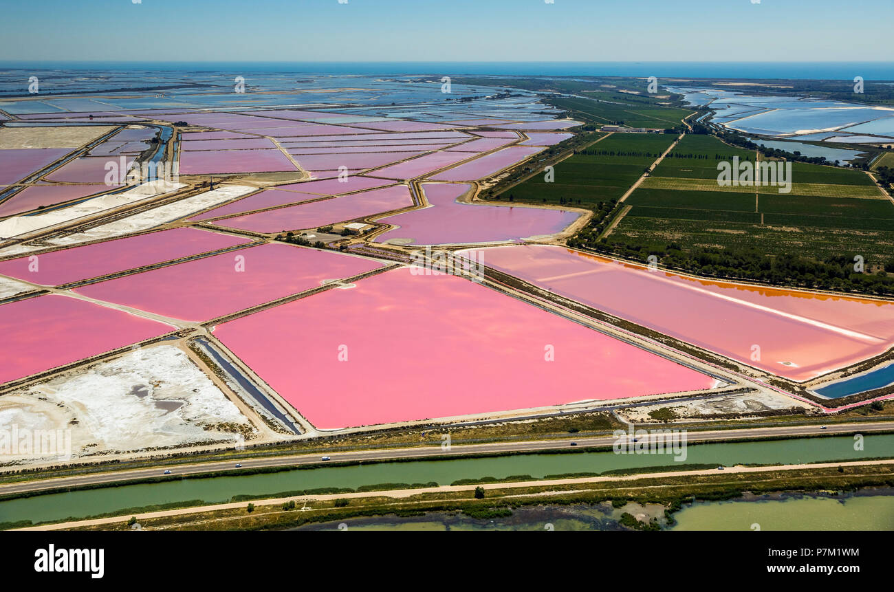 Salzseen in der Nähe von Aigues-Mortes in der Petite Camargue, Fleur de Sel auf dem Salz Verdunstungsteichen, Departement Gard, Occitanie Region, Frankreich Stockfoto