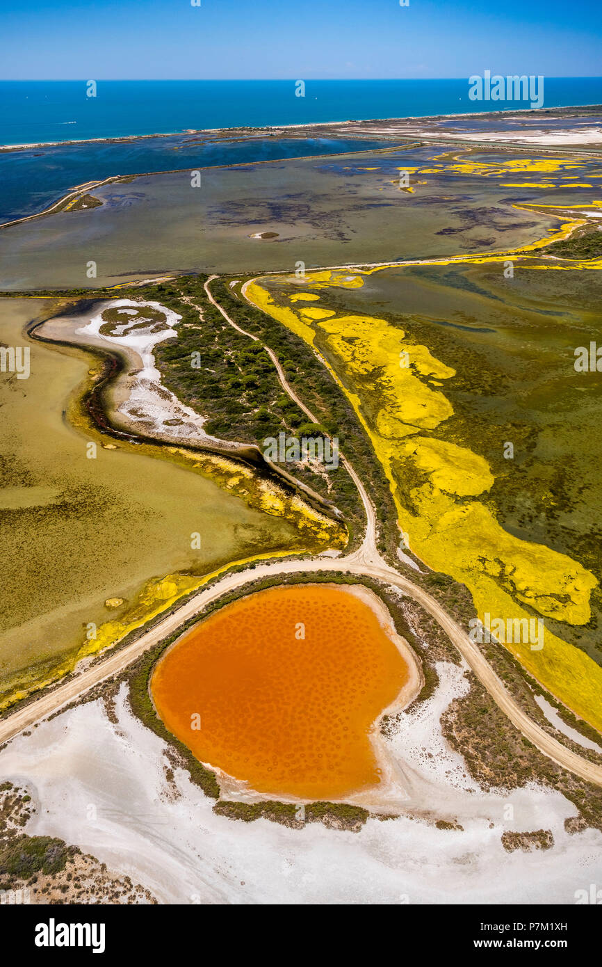 Fleur de Sel auf den Oberflächen der Salz Verdunstungsteichen, Brackwasser und bunte alte Salz Verdunstungsteichen östlich von Aigues-Mortes, Camargue, Bouches-du-Rhône Saintes-Maries-de-la-Mer Region Provence-Alpes-Côte d'Azur, Frankreich Stockfoto