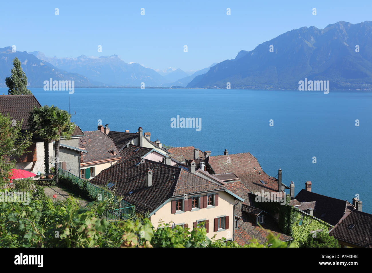 Blick auf die Stadt mit Blick auf den Genfer See, Vevey, Kanton Waadt, West Switzerland, Schweiz Stockfoto
