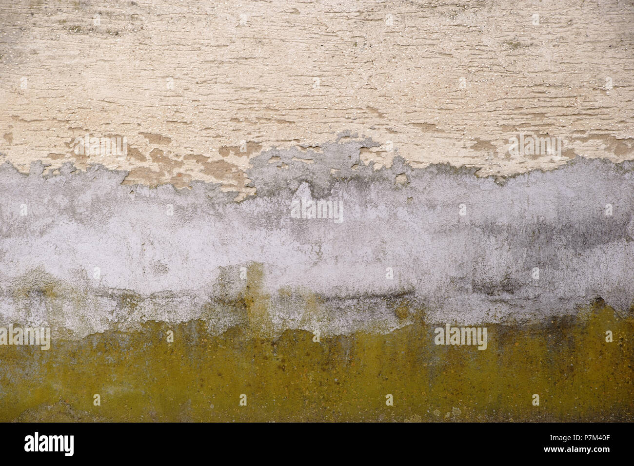 In der Nähe einer Wand mit verschiedenen Betonoberflächen von Gips, grüne Algen und Reparatur. Stockfoto