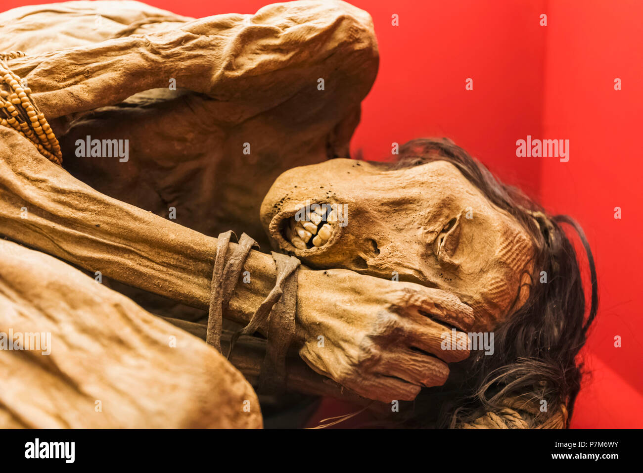 England, London, der Wellcome Collection, mumifizierte Körper von chimu Mann Peru (1200-1400) Stockfoto