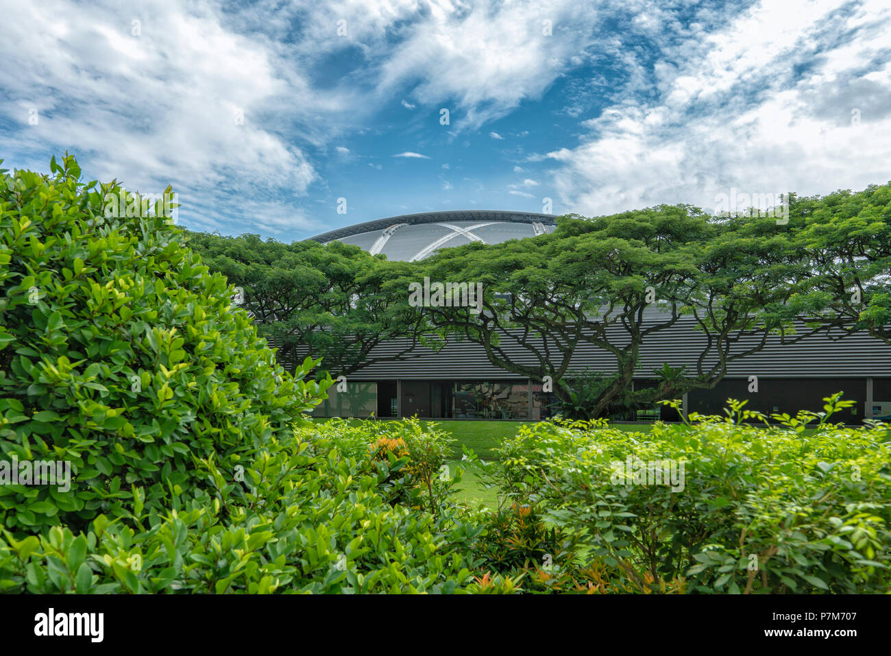 Singapur - Juli 3, 2018: Blick durch die Grünen in Richtung National Stadium in Singapur. Die Nationalen Stadion ist ein Fußballstadion in Kallan entfernt Stockfoto