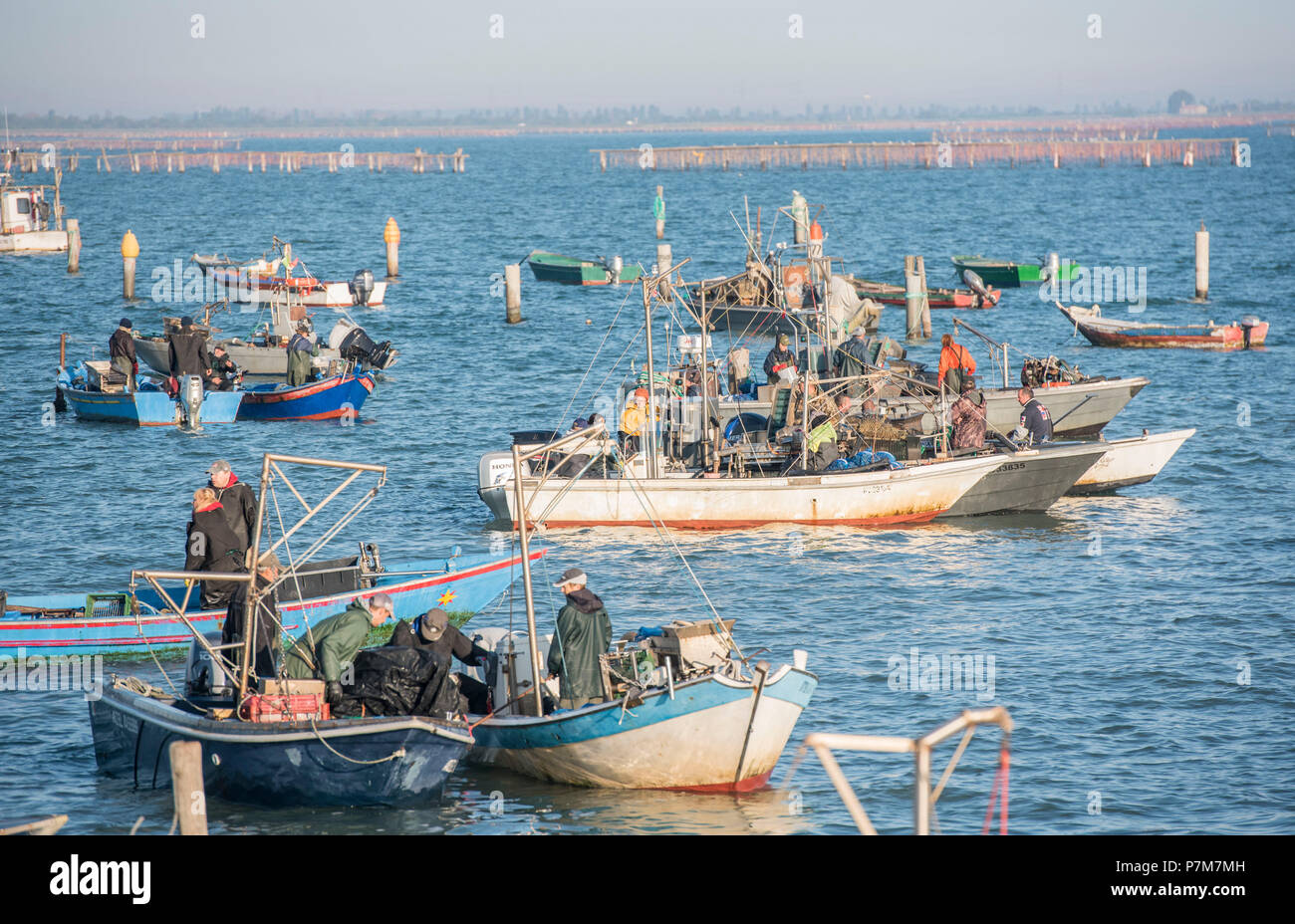 Sacca di Scardovari, Porto Tolle, Provinz von Rovigo, Delta del Po, Venetien, Italien, Europa Stockfoto