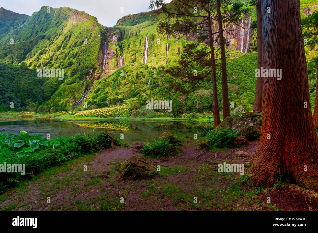 Azoren Landschaft in Flores Island, Wasserfälle in Pozo da Alagoinha. Portugal Stockfoto