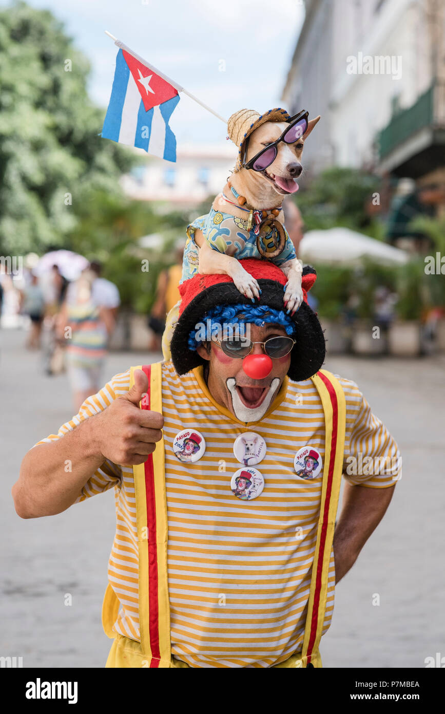 Ein Clown und seinem Hund unterhaltsam Touristen in einem Plaza in Havanna. Stockfoto