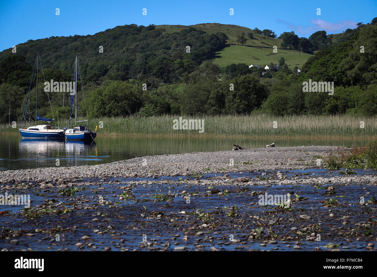 Zwei Segel Boote in der Nähe eines reedy Marsh, mit Hügeln und Ackerland in der Ferne, auf Coniston Water, im Lake District, UK, Kies bar von Beck. Stockfoto