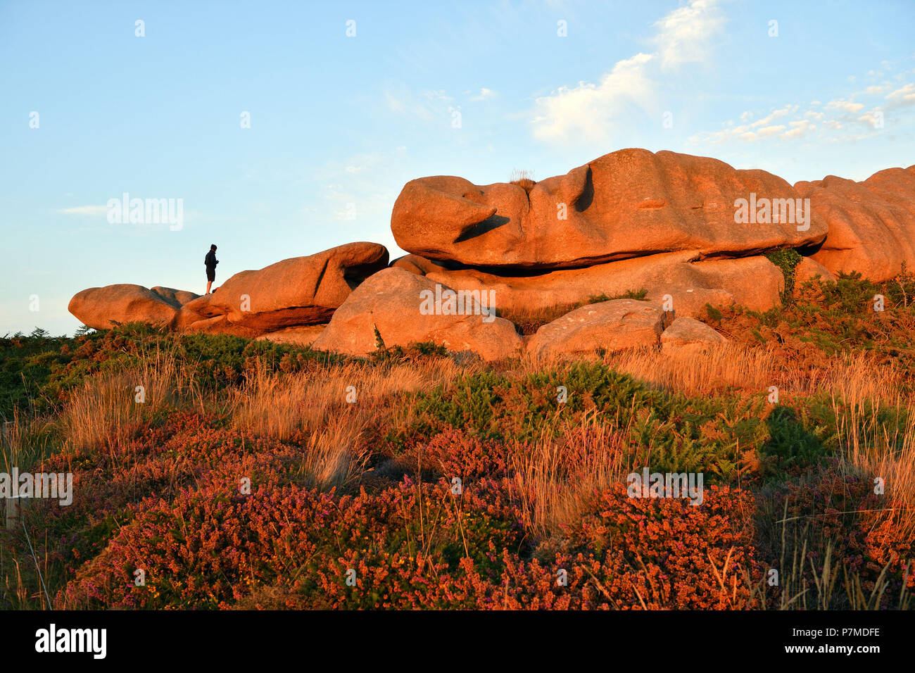 Frankreich, Cotes d'Armor, Perros Guirec, Ploumanac'h, rosa Granit Küste (Côte de Granit Rose), Pointe de Squewel Stockfoto