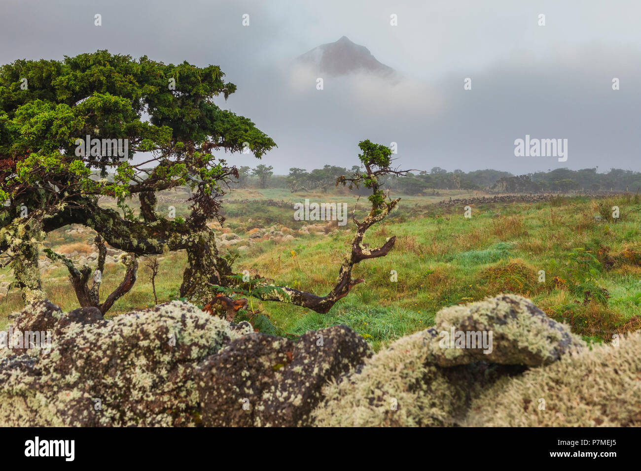 Portugal, Azoren, Pico, Landschaft der Insel mit peak Berg Pico auf Hintergrund Stockfoto