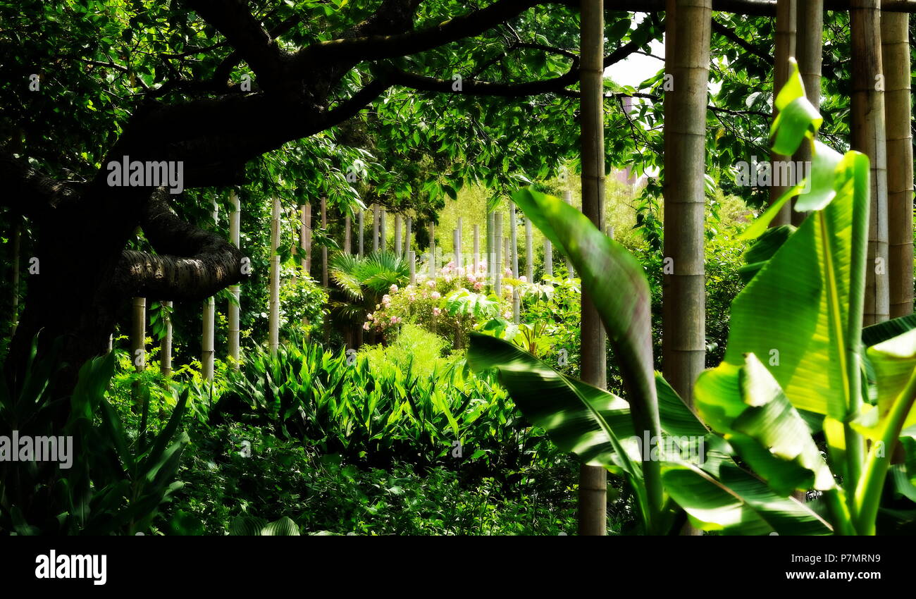 Hortus Botanicus Leiden Botanischen Gärten in den Niederlanden Stockfoto