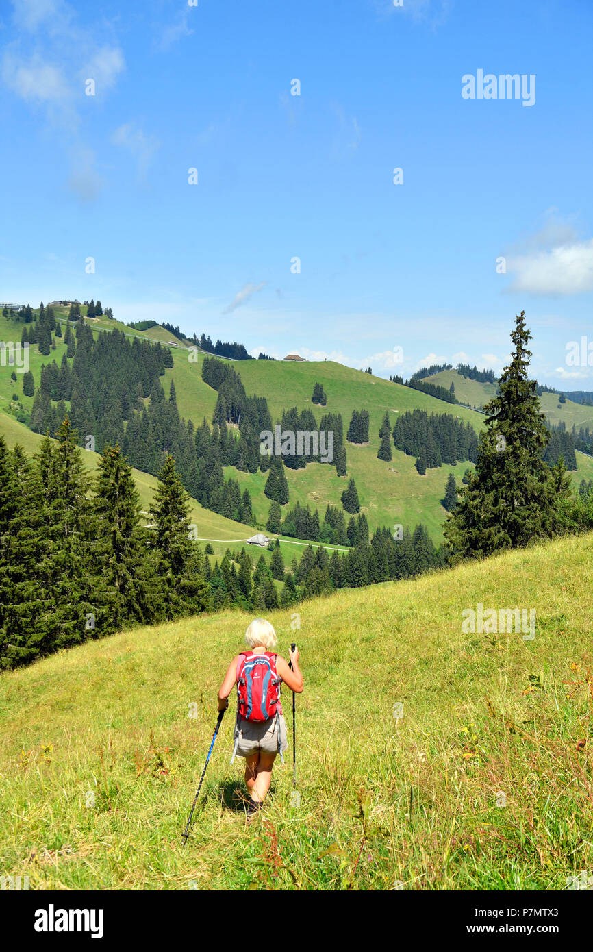 Schweiz, Kanton Freiburg, Bulle, Wanderung, bis die Moleson, 2002 m, emblematischen Gipfel von la Gruyeres Stockfoto