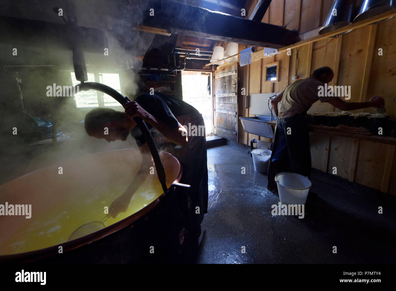 Schweiz, Kanton Freiburg, Bulle, Bauernhof von Almen, Alexandre und Jacques Murit Käser, Weide Gruyeres AOP-Fertigung mit Holz Feuer, mit der Molke machen sie die Streithelferin, eine kompakte und dünnen weißen weichen weißen Käse Stockfoto