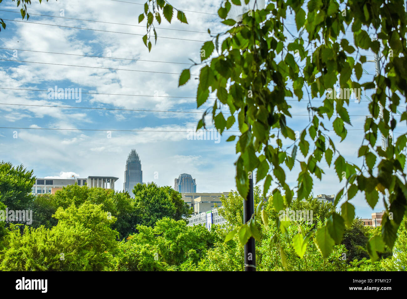 Bank of America Corporate Center & Hearst Tower Entfernung geschossen durch Blätter gerahmt; Charlotte, NC Stockfoto