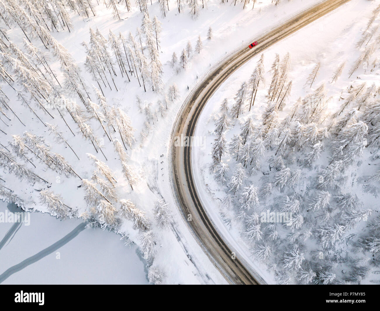 Luftaufnahme von Straße und schneebedeckten Wäldern um den Silsersee, PLAUN DA LEJ, Maloja Region, Kanton Graubünden, Engadin, Schweiz Stockfoto