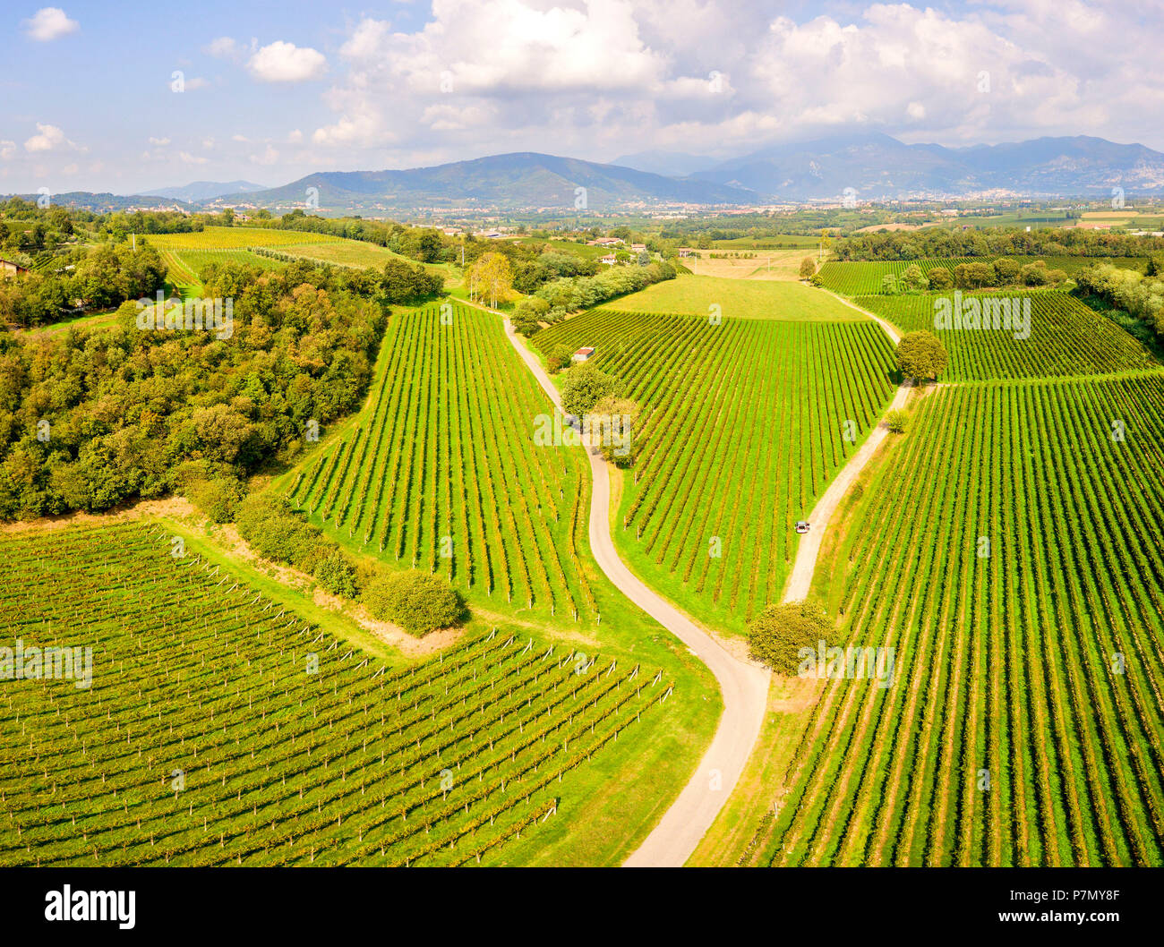 Franciacorta Luftaufnahme, Lombardei, Provinz Brescia, Italien, Stockfoto