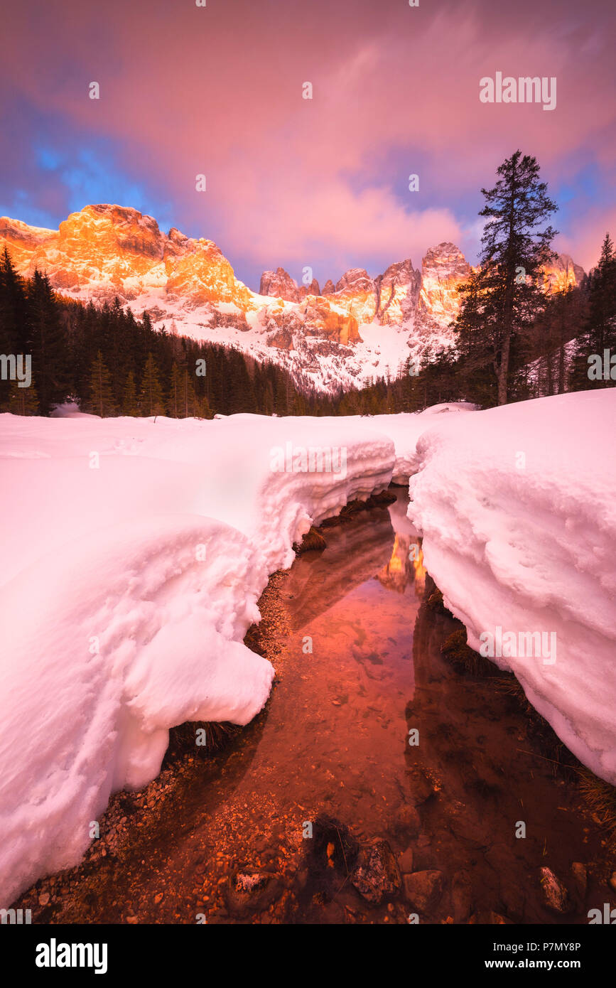 Winter im Naturpark von Paneveggio - Pale di San Martino, Venegia Tal, Trentino, Dolomiten, Italien Stockfoto