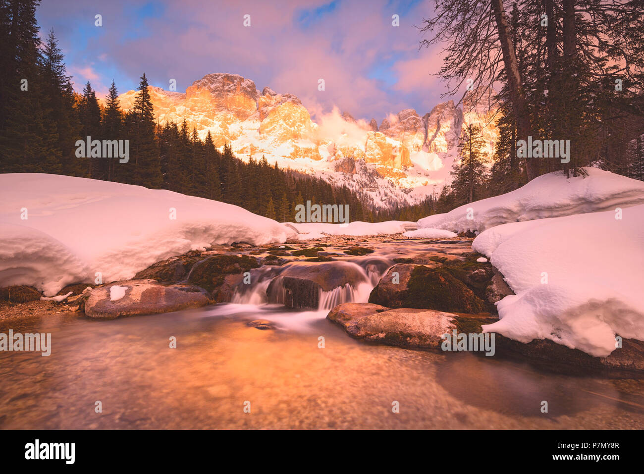 Winter im Naturpark von Paneveggio - Pale di San Martino, Venegia Tal, Trentino, Dolomiten, Italien Stockfoto
