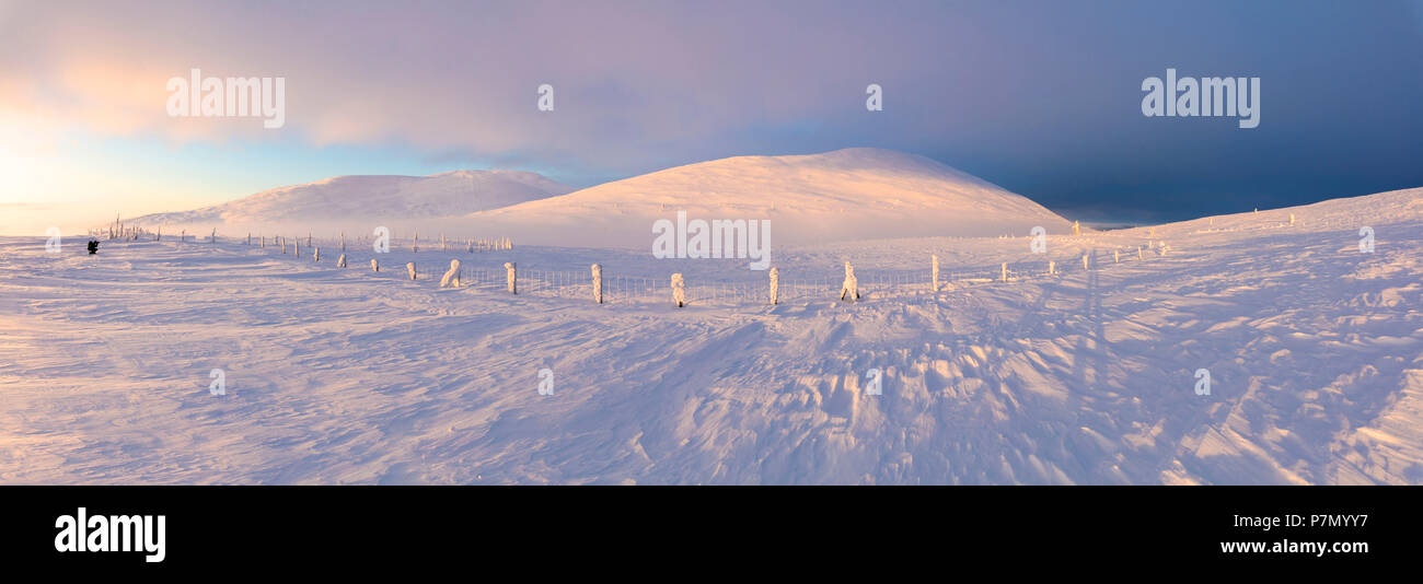 Panorama der schneebedeckten Berge in der Abenddämmerung, Pallas-Yllastunturi Nationalpark, Muonio, Lappland, Finnland Stockfoto