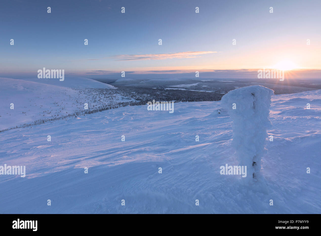 Sonnenaufgang auf dem gefrorenen Landschaft mit Schnee bedeckt, Pallas-Yllastunturi Nationalpark, Muonio, Lappland, Finnland Stockfoto