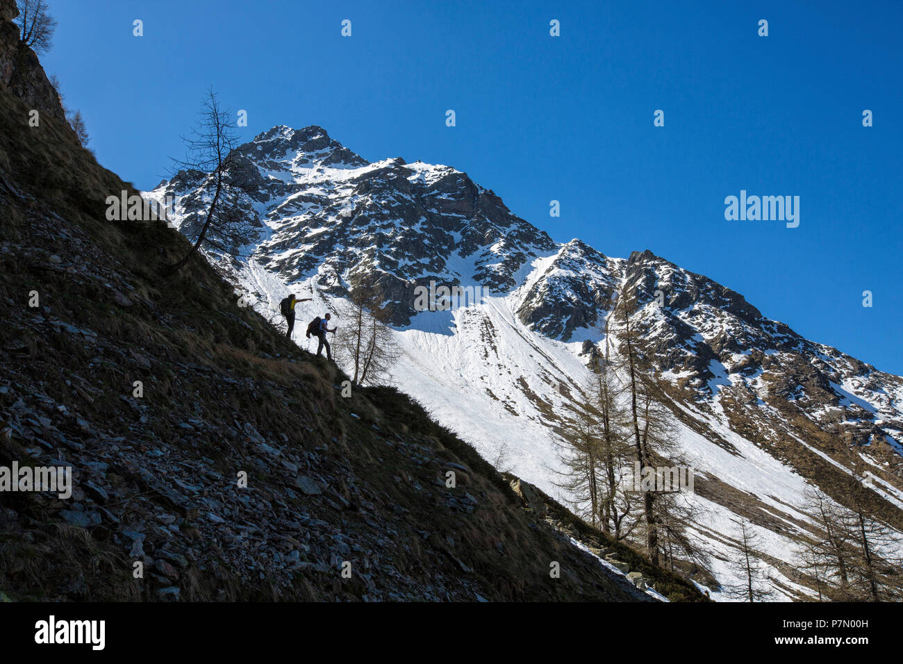 Wanderer gehen Sie mit schneebedeckten Gipfeln im Hintergrund Puschlav Kanton Graubünden Schweiz Stockfoto