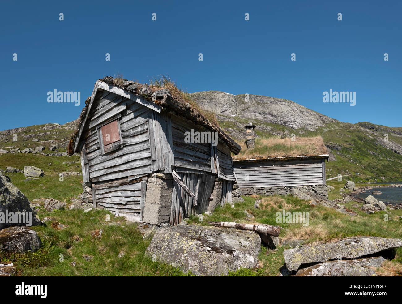 Alte norwegische Rasen Dach Hütte auf der hohen Fjälls oben Sognefjord bei Gaularfjellet, Norwegen. Stockfoto