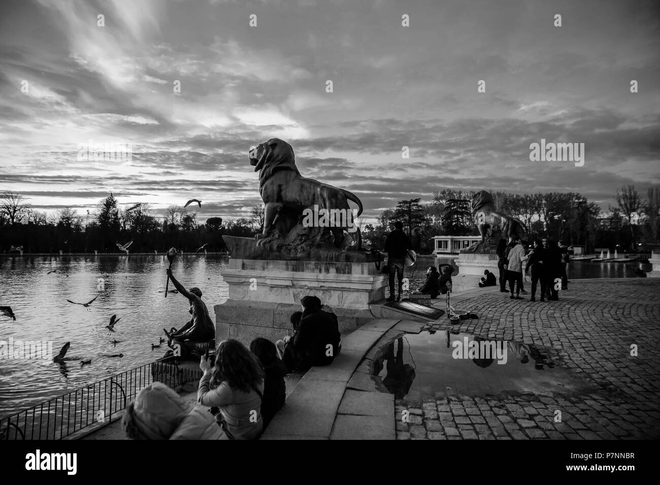 See innerhalb des Parque del Buen Retiro Park der angenehmen Rückzugsort" in Madrid, Spanien Stockfoto