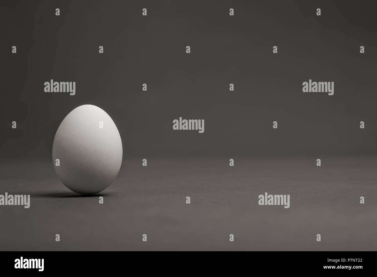 Ein weißes Ei auf grauem Hintergrund Stockfoto