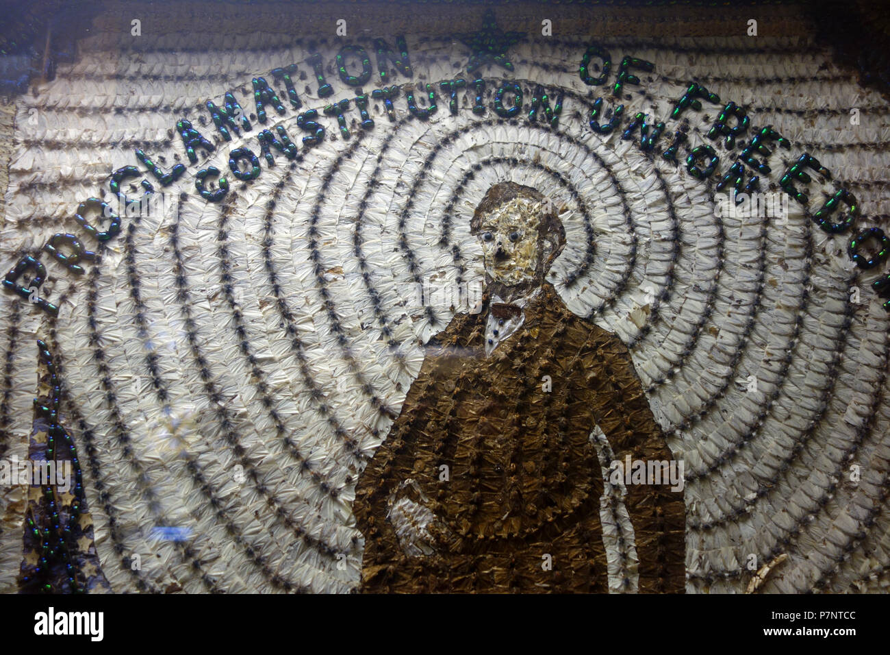 Englisch: Artwork erstellt von John hampson aus Tausenden von Insekten (Schmetterlingsflügel, Käfer, etc.). In der Fairbanks Museum und Planetarium, St. Johnsbury, Vermont, USA ausgestellt. Dieses Kunstwerk ist in der Weil der Künstler vor mehr als 70 Jahren starb. Wurde die Fotografie im Museum ohne Einschränkung erlaubt. 18 August 2013, 13:05:07 12 Abraham Lincoln, Proklamation der Freiheit von John hampson, 1916 - Fairbanks Museum und Planetarium - DSC 04267 abgeschlossen Stockfoto