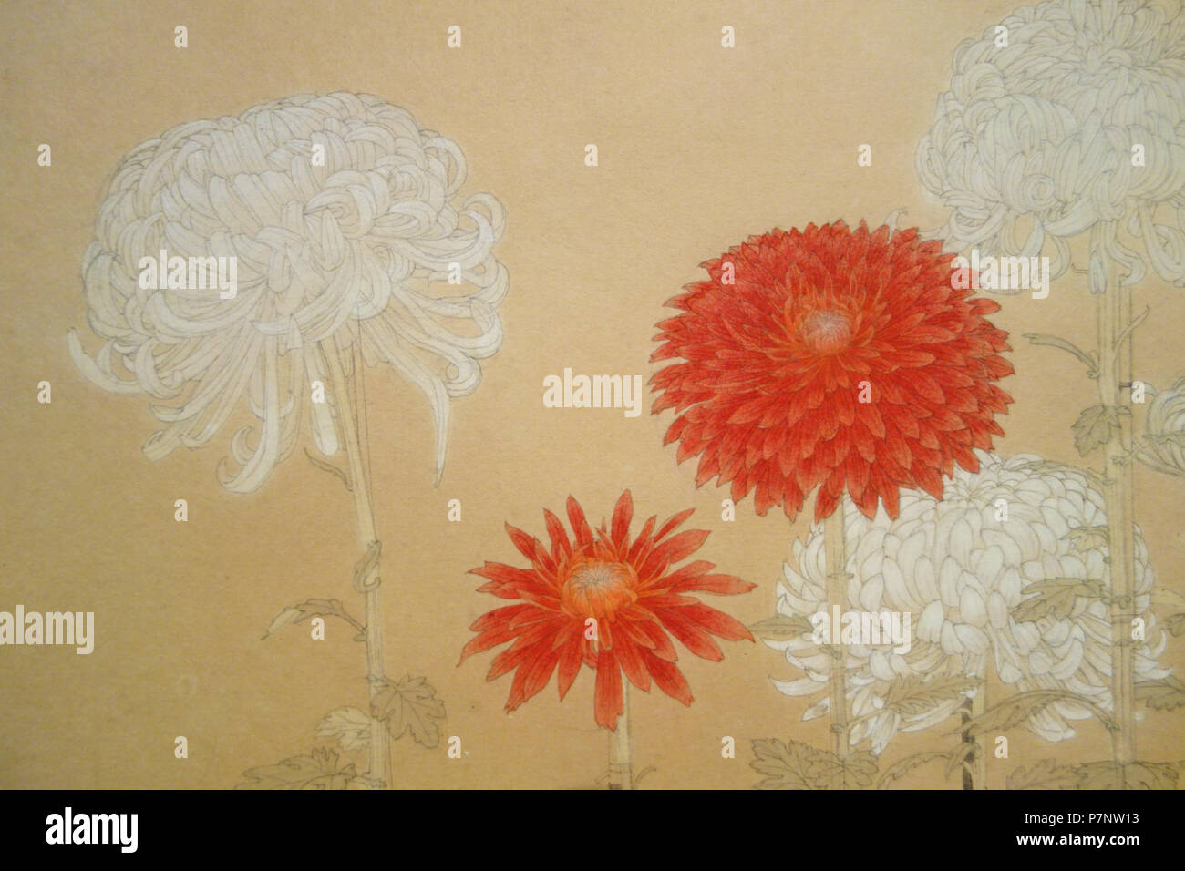 Englisch: Ausstellung im Museum für Moderne Kunst, Tokyo (東京国立近代美術館). Dieses Kunstwerk ist in der Weil der Künstler vor mehr als 70 Jahren starb. Wurde die Fotografie im Museum ohne Einschränkung erlaubt. 4. September 2013, 01:32:51 348 Skizze der Chrysanthemen durch Bakusen Tsuchida, Detail, C. 1933, Bleistift und Farbe auf Papier - Nationales Museum für Moderne Kunst, Tokyo - DSC 06722 Stockfoto