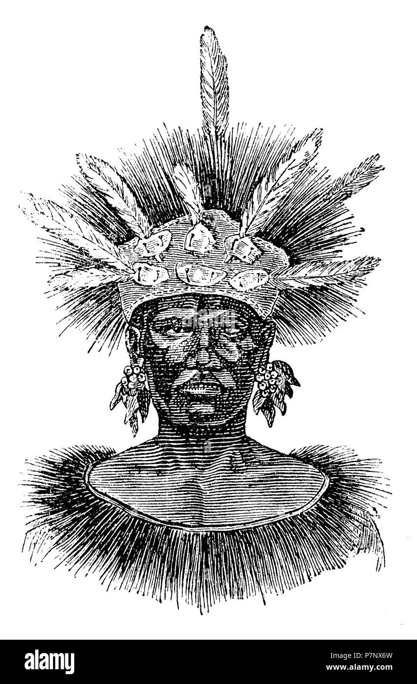 Porträt eines Papua Mann aus Mansinam, mit einem Krieg Kopfschmuck. Nach H. v. Rosenberg, der Malaiischen Archipel, Leipzig 1878, H v Rosenberg 1881 Stockfoto