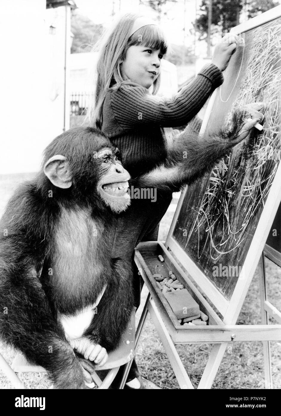 Mädchen und Affe schreibt am Blackboard, England, Großbritannien Stockfoto