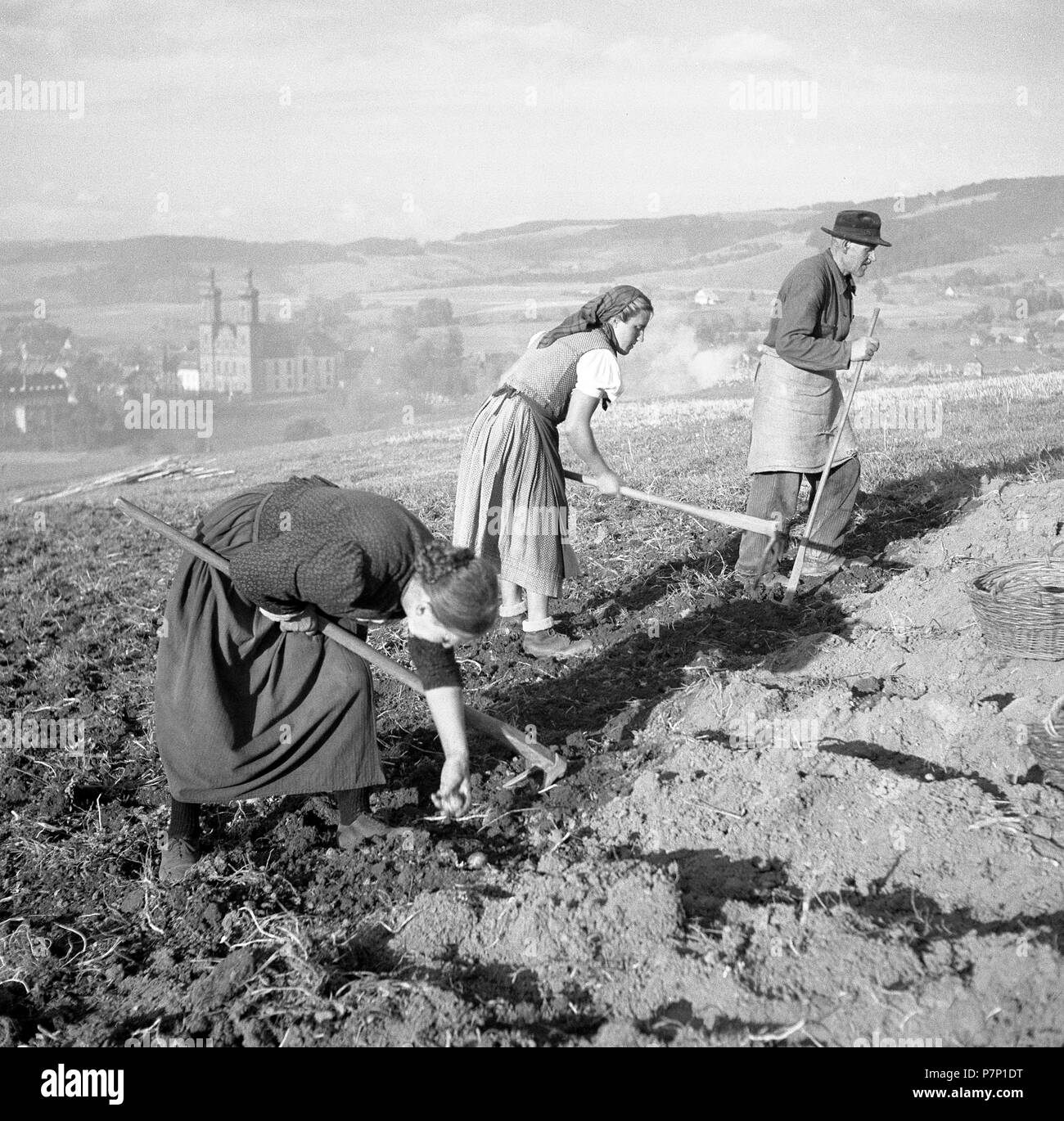 Arbeiter, Landwirte, Landwirtschaft, Ca. 1955, in der Nähe von Freiburg