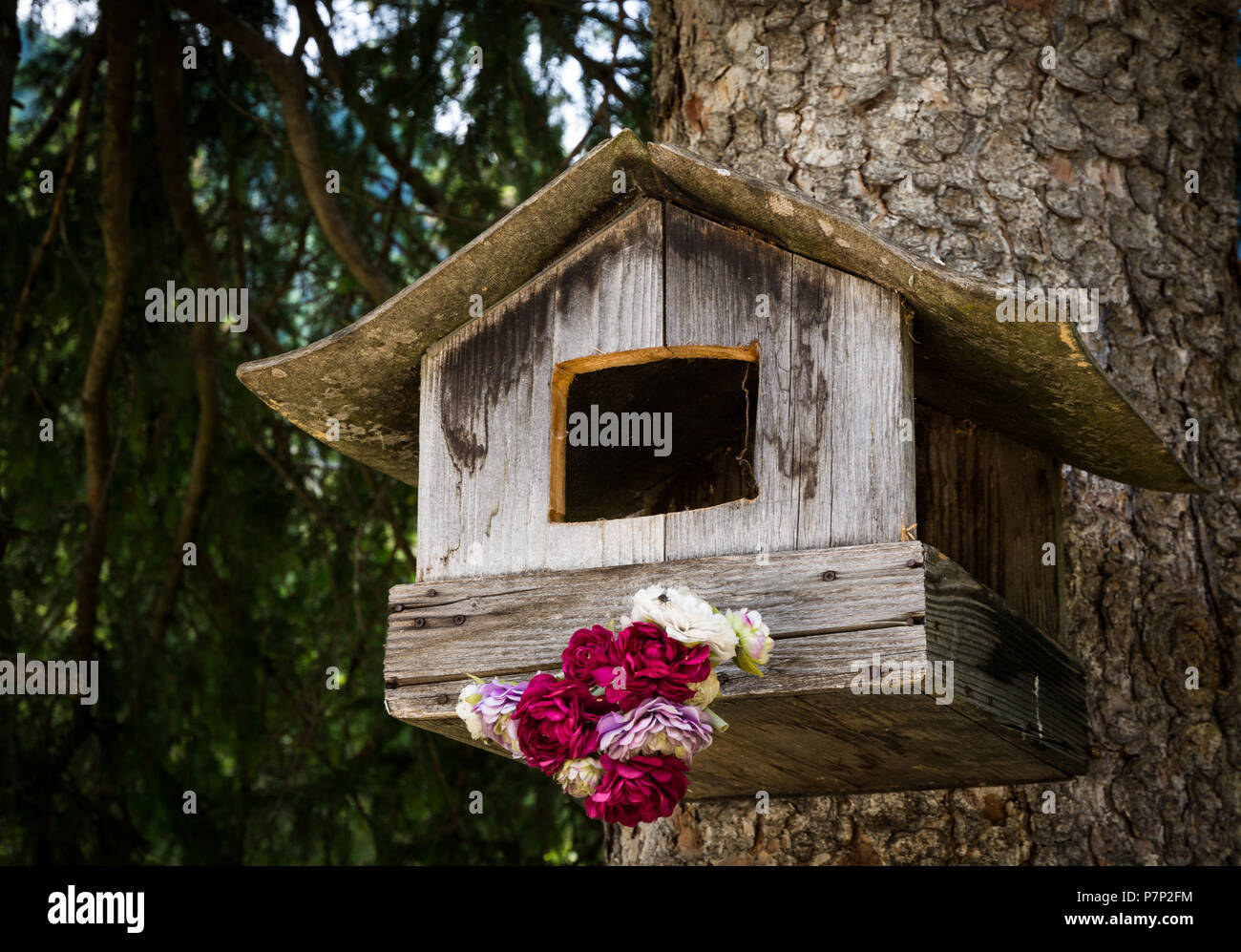 Ein Vogelhaus hängend an einer Kiefer in einem Wald in den Tiroler Alpen. Stockfoto