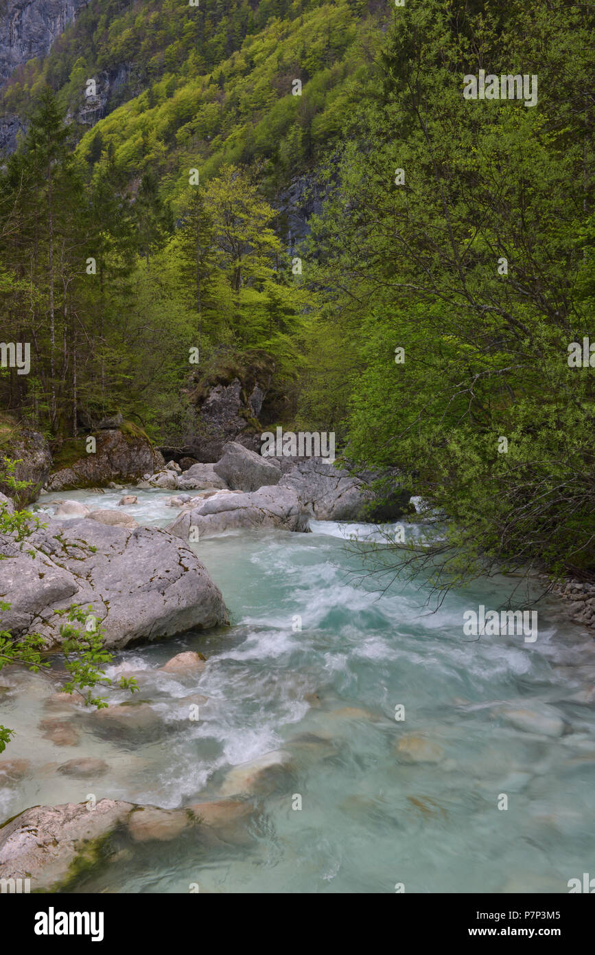 Wilder Fluss Soča, Soča-Tal, die Julischen Alpen, Slowenien Stockfoto