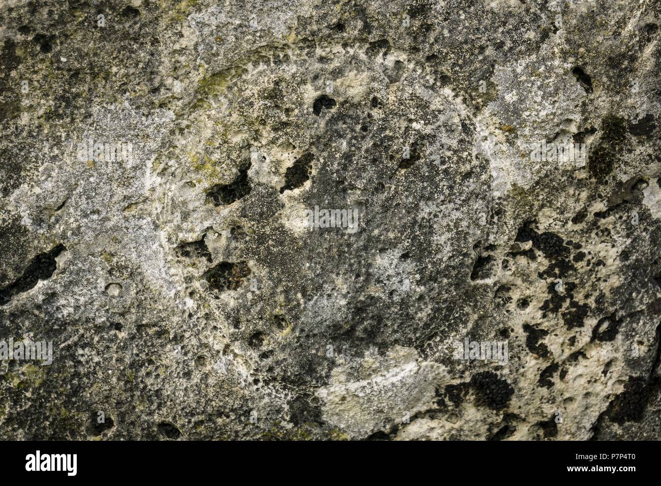 Inscripcion Rundschreiben, Dolmen de la Capilleta, III Milenio antes de Cristo, Ruta de los megalitos del Alto Aragon, Paúles de Sarsa, Provincia de Huesca, Comunidad Autónoma de Aragón, Cordillera de Los Pirineos, Spanien, Europa. Stockfoto