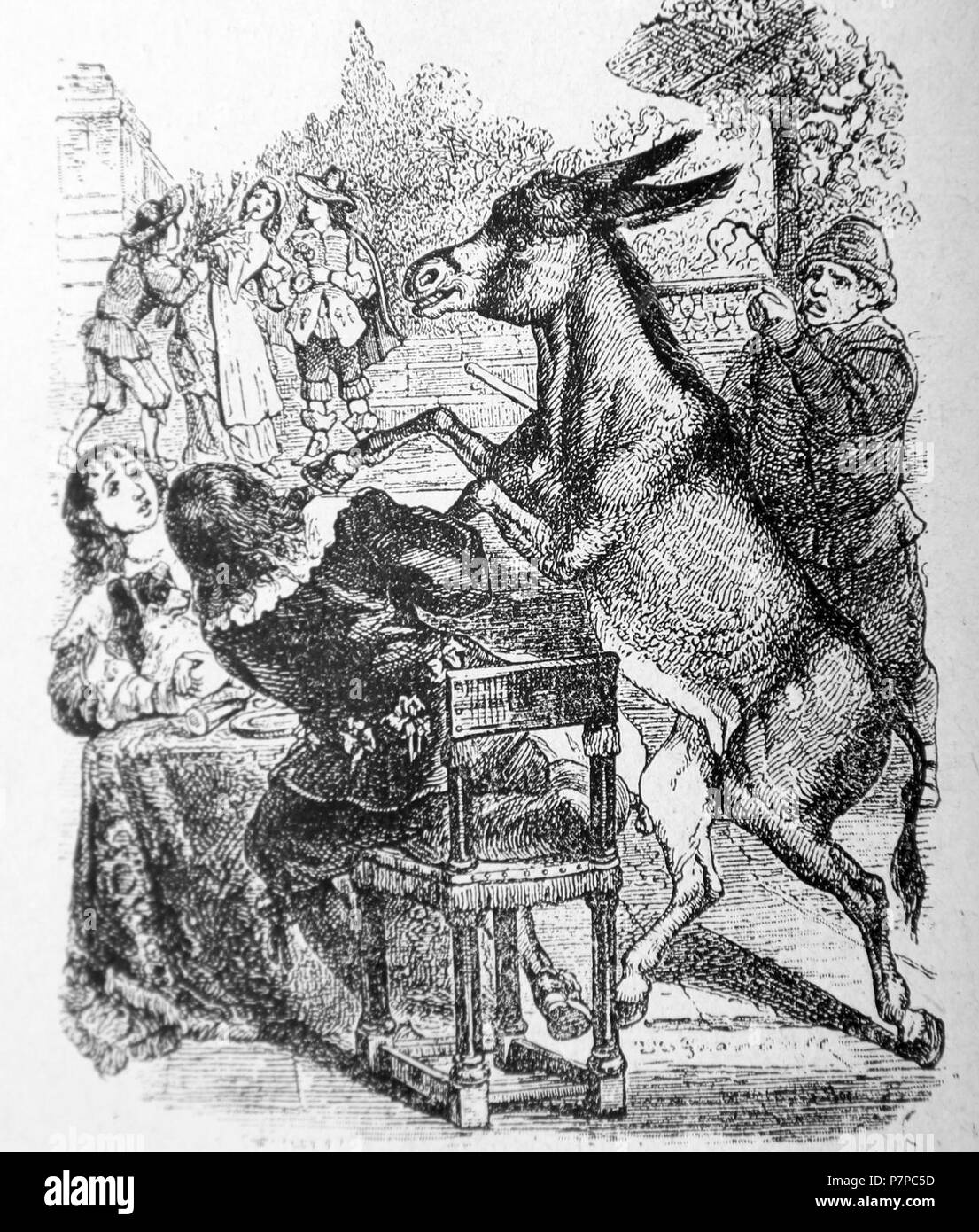 4-5-Lane-et-le-Petit-chien. Stockfoto