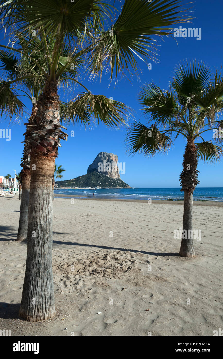 Blick durch Palmen im Winter auf den Penon de Fach Naturschutzgebiet Stockfoto