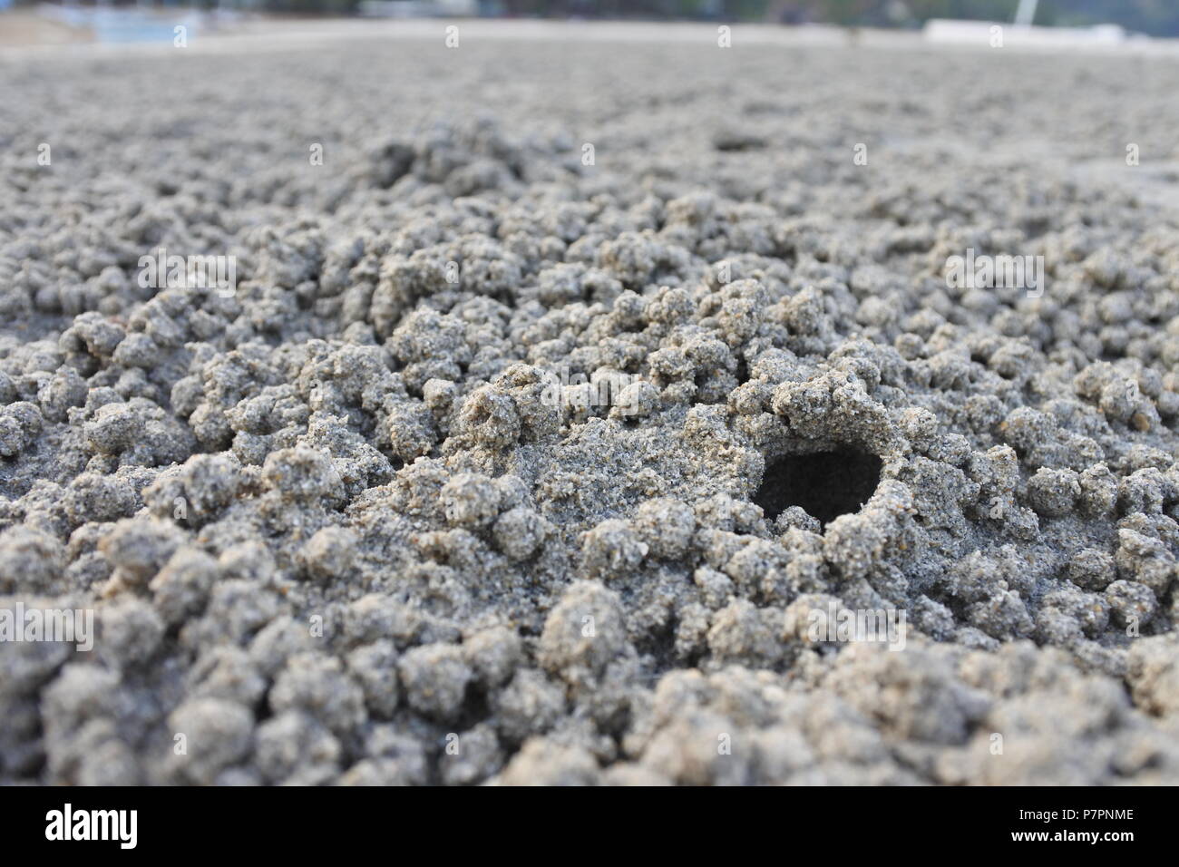 Ein Einblick in die verborgene Welt des Sandstrands - ein faszinierendes winziges Loch, möglicherweise der Eingang einer Kreatur. Stockfoto