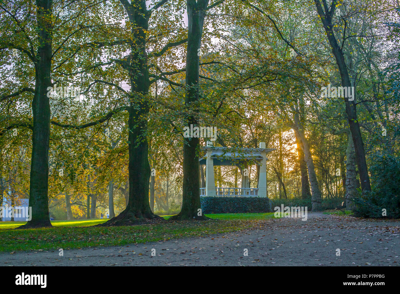 Settting Sun in einem schönen Herbst Park Stockfoto