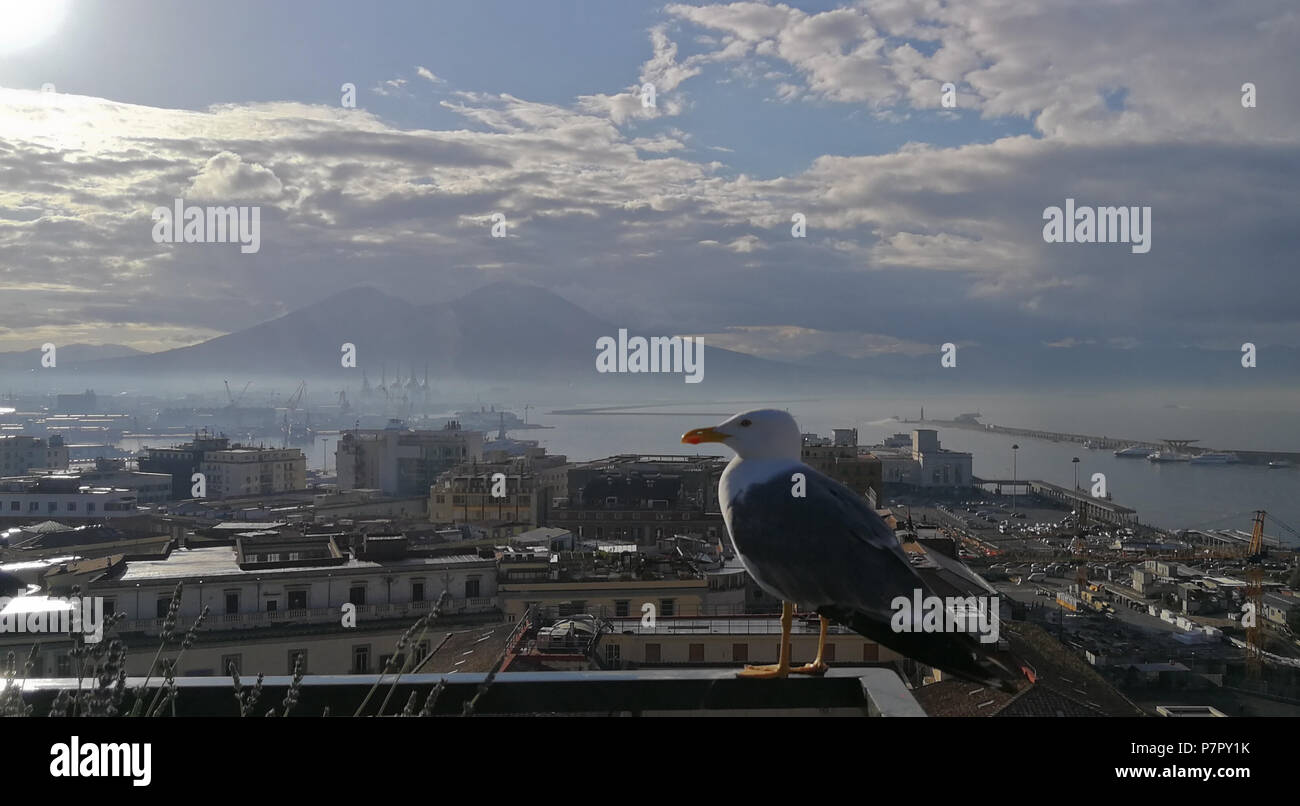 Die meisten aufregenden Panoramablick über Neapel, einen ruhigen Moment mit einer Möwe sehen Vesuvio Volcan, im Gegensatz zu der wunderbaren Chaos der Stadt unter Stockfoto