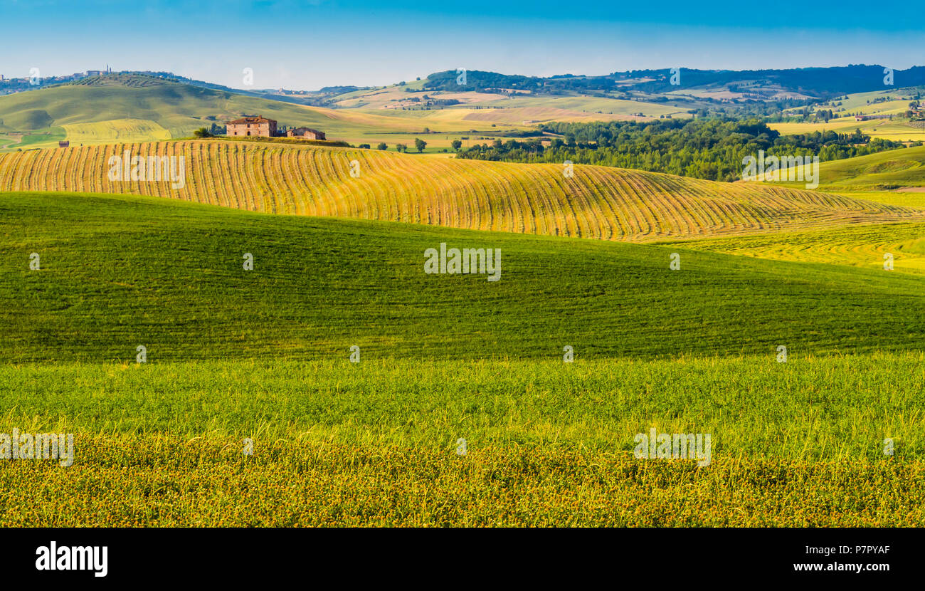 Beeindruckenden toskanischen Landschaft mit Feldern und Hügeln Stockfoto