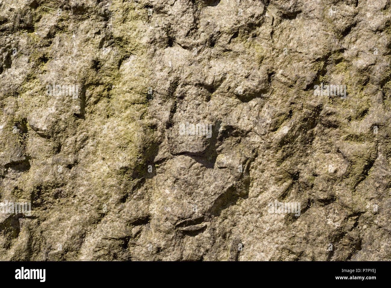 Unebene und rauhe Granit Oberfläche mit Patches der grünen Flechten Stockfoto