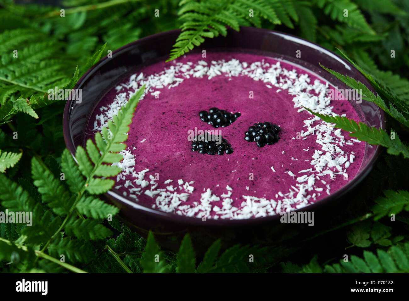 Smothie Schüssel mit Blackberry auf Hintergrund mit farnblätter Stockfoto