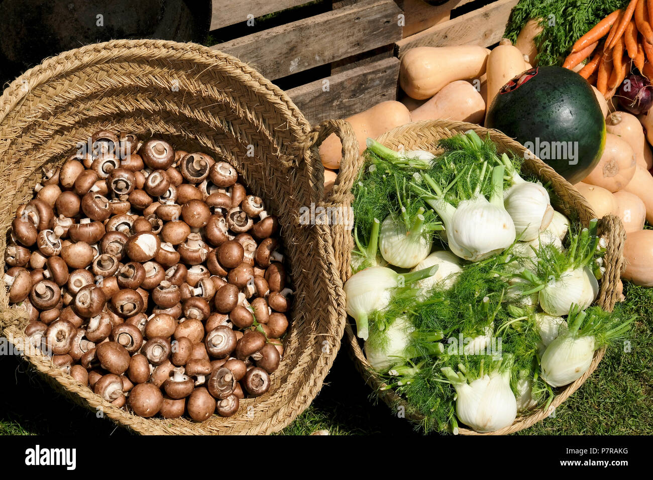 Fenchel Wohnfaszination Mobel Kuchen Fur Die Region Stuttgart Neckar Alb
