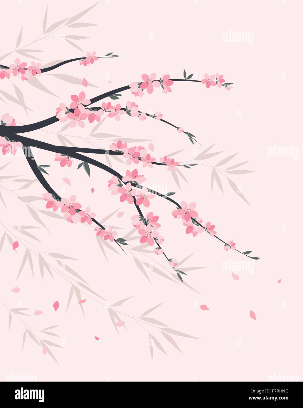 Vektor Dekoration Zweige mit Blumen, spring blossom Sakura. Stock Vektor