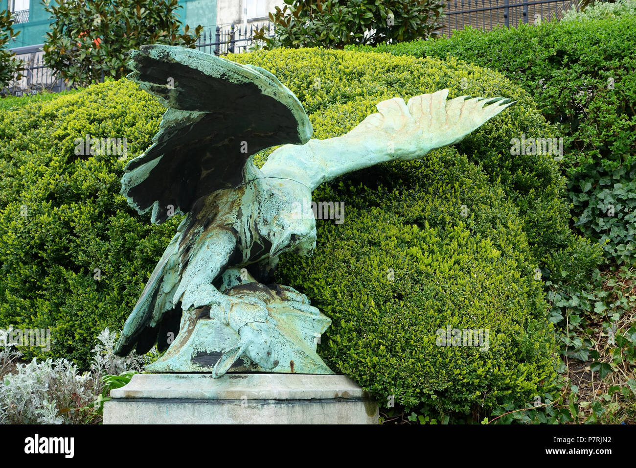 Englisch: Eagle von Henri Boncquet - Botanischer Garten von Brüssel - Brüssel, Belgien. Diese Arbeit ist in der Weil der Bildhauer vor mehr als 70 Jahren starb. 16 April 2016, 08:51:08 140 Eagle von Henri Boncquet - Botanischer Garten von Brüssel - Brüssel, Belgien - DSC 06758 Stockfoto