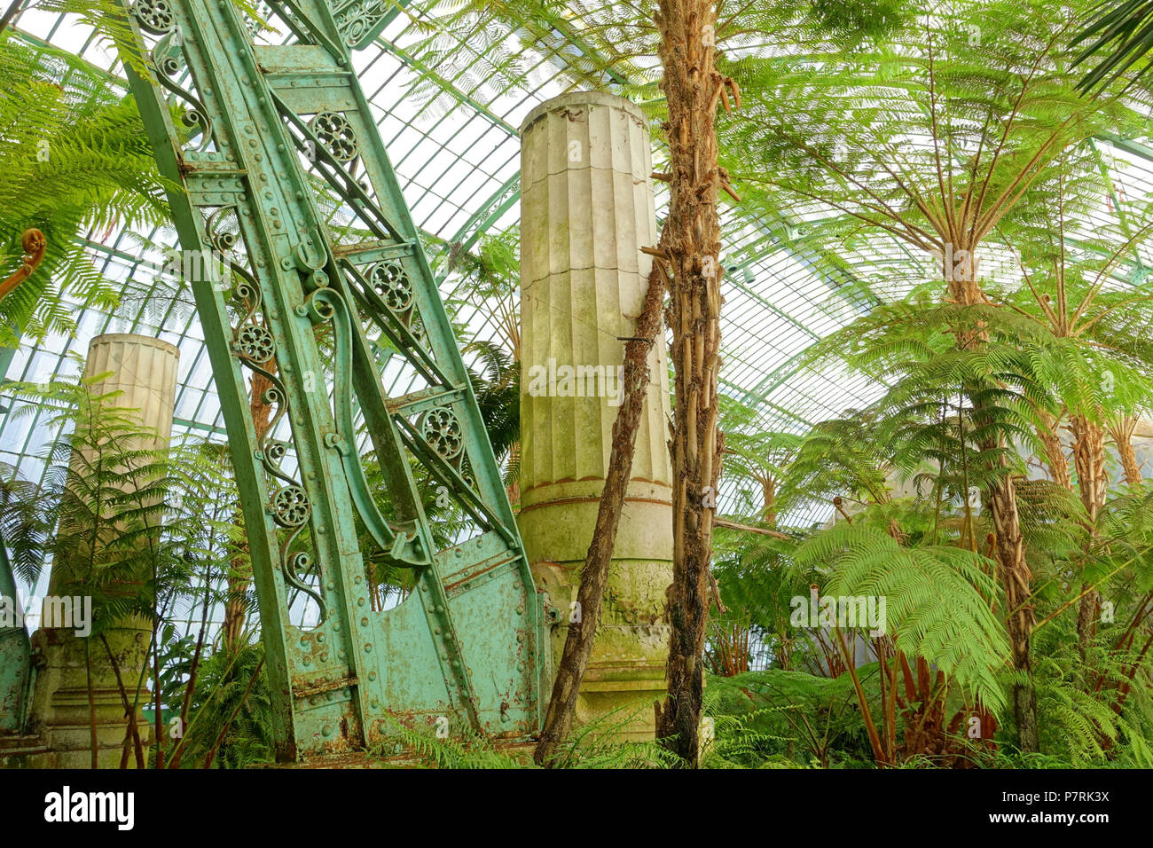 N/A. N/A 402 Wintergarten Interior Detail-Königlichen Gewächshäuser von Laeken - Königliches Schloss von Laeken - Brüssel, Belgien - DSC07452 Stockfoto