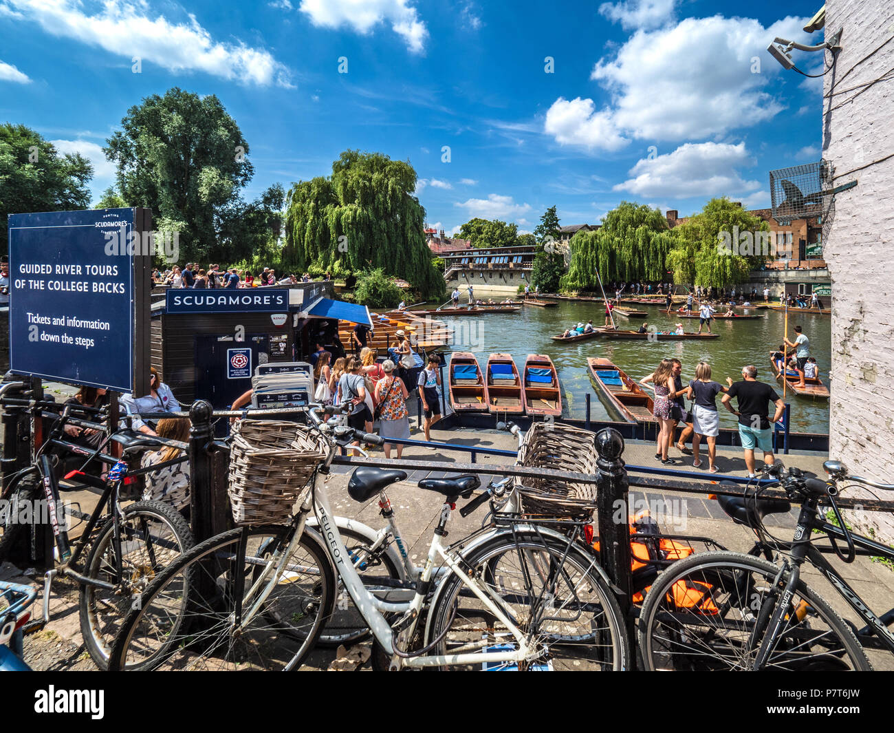 Cambridge Tourismus - Scudamores Stocherkähne warten auf Miete an einem warmen Sommertag Stockfoto