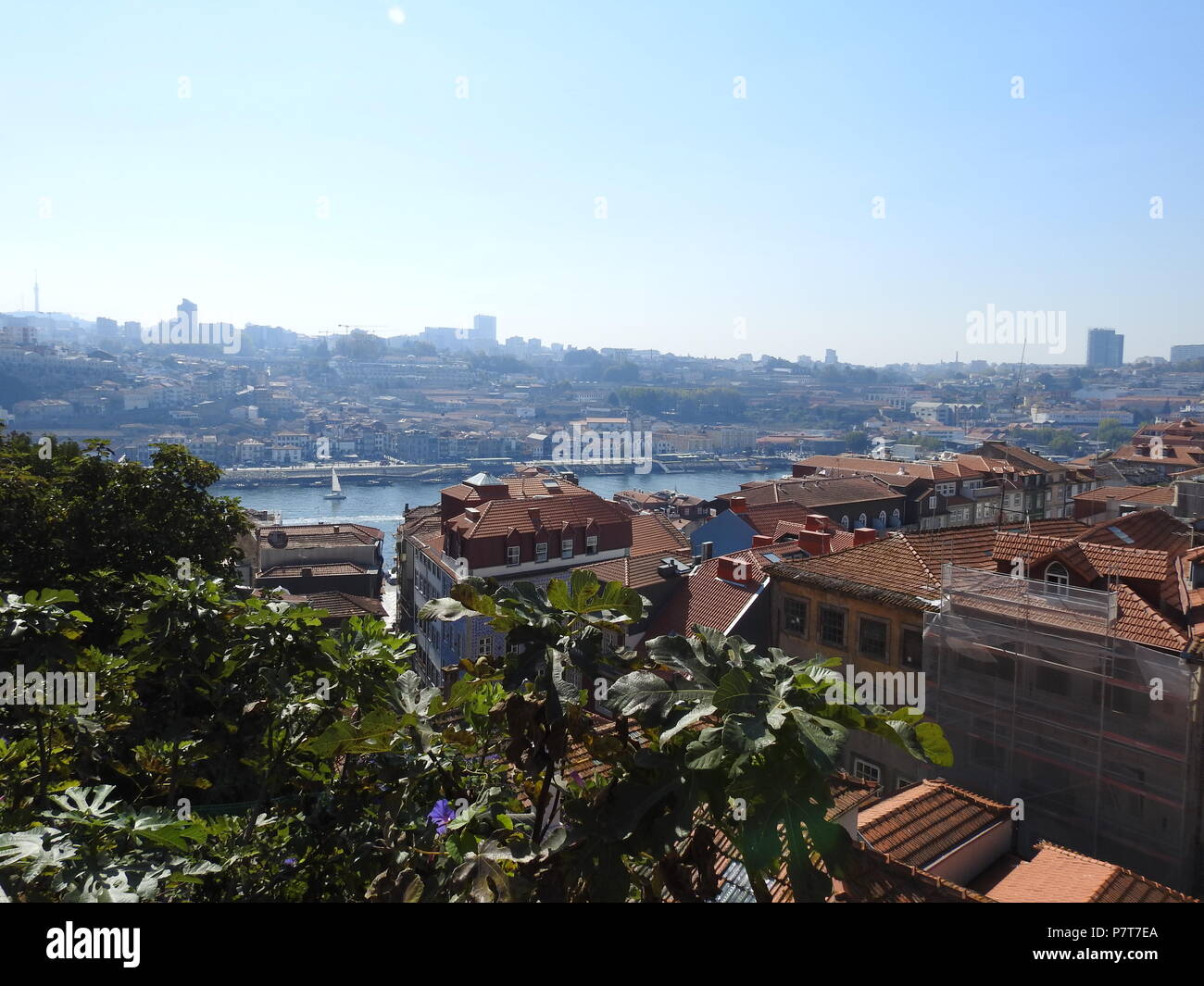 Blick auf den Städten Porto, Vila Nova de Gaia und den Fluss Duero. Portugal. Stockfoto