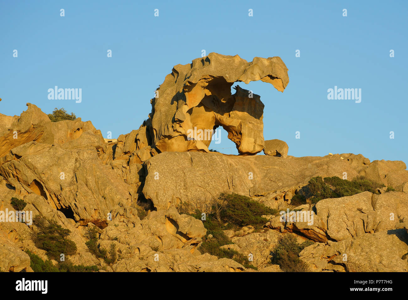 Seltsam geformte granitische Felsformationen von Capo d'Orso. Gallura, Provinz Sassari, Sardinien, Italien. Stockfoto