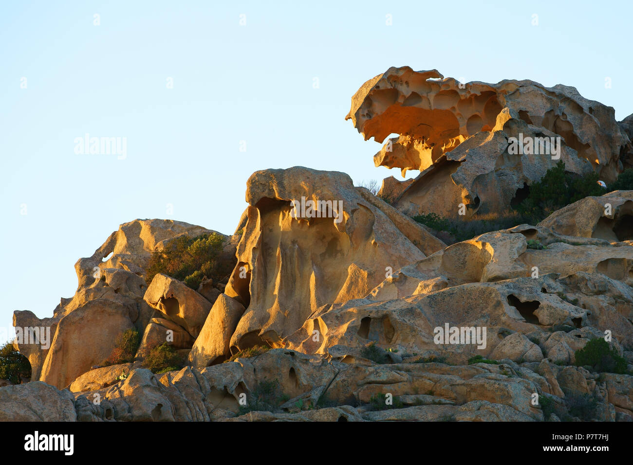 Seltsam geformte granitische Felsformationen von Capo d'Orso. Gallura, Provinz Sassari, Sardinien, Italien. Stockfoto